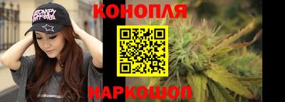 прущие крисы Аргун